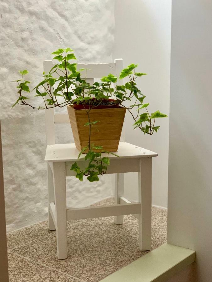 Apartmán Casa Da Lurdinhas Tabuaço Exteriér fotografie